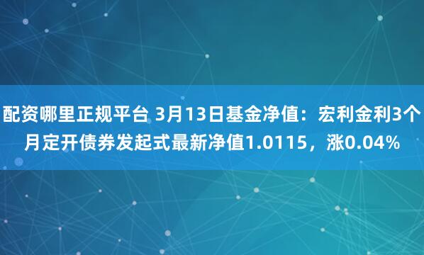 配资哪里正规平台 3月13日基金净值：宏利金利3个月定开债券发起式最新净值1.0115，涨0.04%