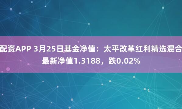 配资APP 3月25日基金净值：太平改革红利精选混合最新净值1.3188，跌0.02%