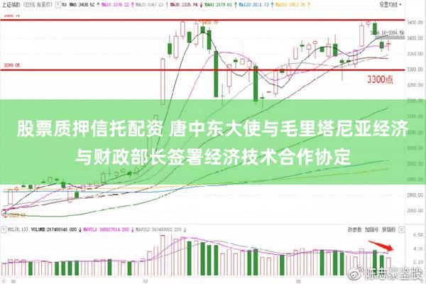股票质押信托配资 唐中东大使与毛里塔尼亚经济与财政部长签署经济技术合作协定