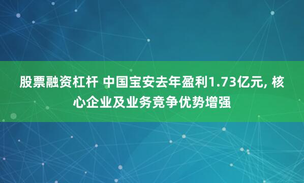股票融资杠杆 中国宝安去年盈利1.73亿元, 核心企业及业务竞争优势增强