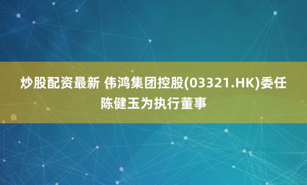 炒股配资最新 伟鸿集团控股(03321.HK)委任陈健玉为执行董事