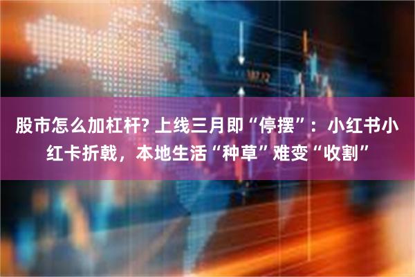 股市怎么加杠杆? 上线三月即“停摆”：小红书小红卡折戟，本地生活“种草”难变“收割”