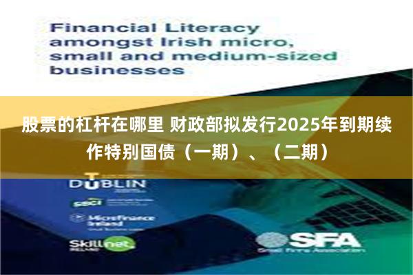 股票的杠杆在哪里 财政部拟发行2025年到期续作特别国债（一期）、（二期）